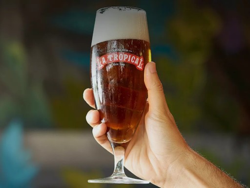 10 Best Breweries in Miami